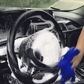 Espuma Limpiadora Pro